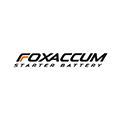 Купить Fox Accum Asia AGM 6СТ-44 (О.П.) 450А