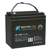 Купить Восток СК 1255 (12V 55Ah)